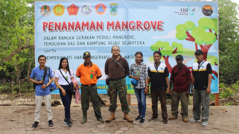 mangrove MKW c